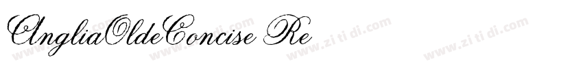 AngliaOldeConcise Re字体转换